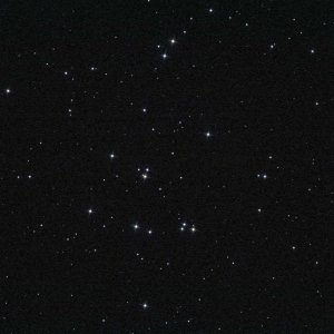 1__0008_2.jpg