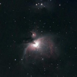 Erster Versuch M42 abzulichten