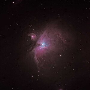 Der Klassiker im Winter: M42
