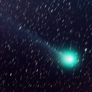 Lovejoy_b.jpg