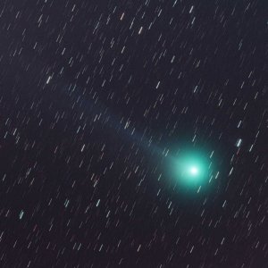 Lovejoy_c.jpg