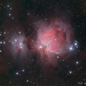 The Great Orion Nebula