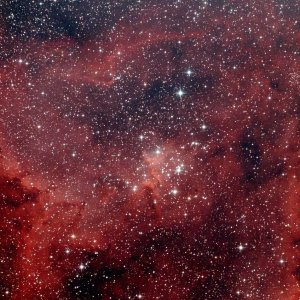 IC 1805 - Herz Nebel