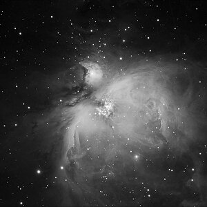 M42, Luminanz