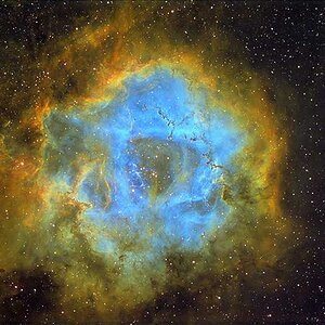 Späte, kurzbelichtete Rosette, NGC2244