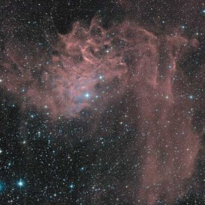IC 405 - SH2-229
