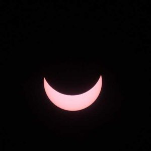 A bisserl Sofi aus München
