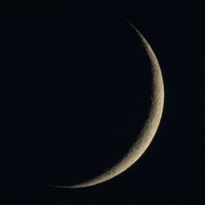 IMG_0172.JPG