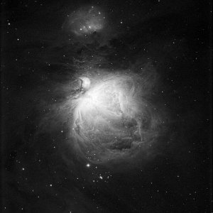 M42_81Q_L.jpg