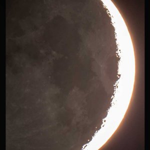 Dark-Moon-Forum.jpg