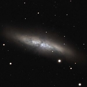 M 82
