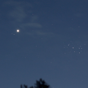 Venus am 14.04. in der Nähe von M45