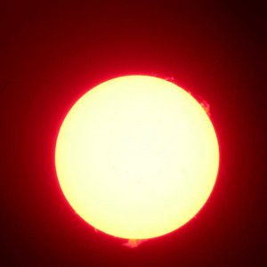 Img_0975_.jpg