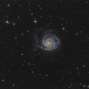 M101.jpg