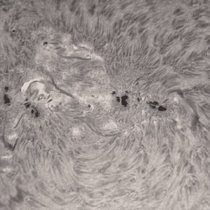 AR 2339 an 12.05.15