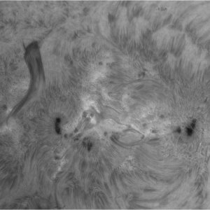 sonne1.jpg