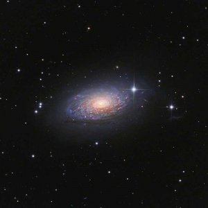 M63