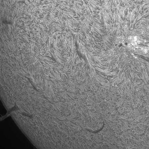 Sonne_105029_g2_ap9896_1200.jpg
