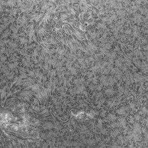 Sonne_110705_g2_ap2582_1200.jpg