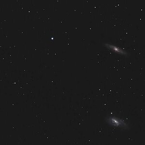 Leo Triplett vom April