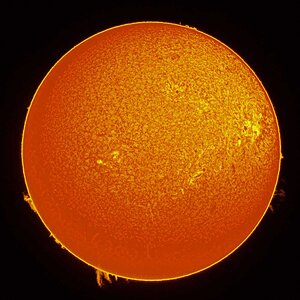 Sonne am 15.5.15 im Ha