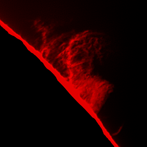 schöne Protuberanz von heute - 14.06.15