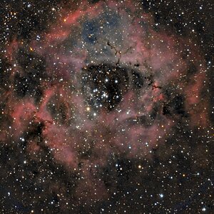 ngc2237