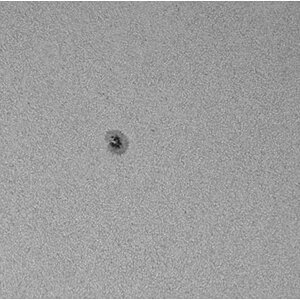 Sonnenfleck AR12386 vom 16.07.2015