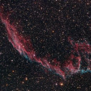 eastern_veil_klein.jpg