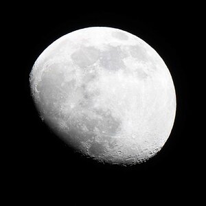 Mond