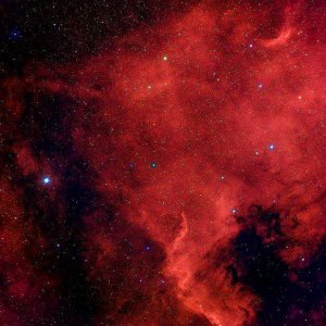 NGC 7000
