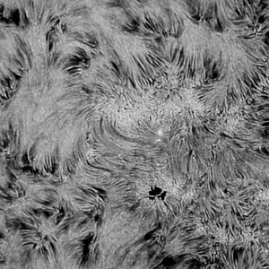 H-Alpha-Region 03.08.