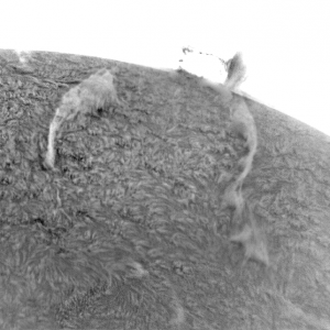 conv_13-20-25-597_g3_q1  ps v2++ nlm + x3 i sw invert  2.png