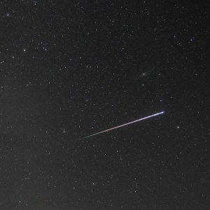 Perseid
