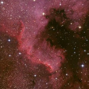 NGC 7000 - Great Wall