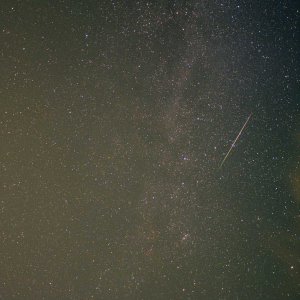 _DSC3286, 3311, 27, 28, 32 - klein.jpg