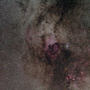 Cygnus50mm.jpg