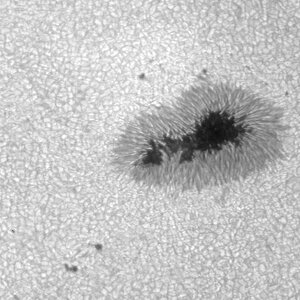 AR2418