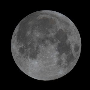 RGB_IMG_0762_Entemond.jpg