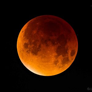 Mondfinsternis aus dem Norden Münchens