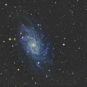 M33