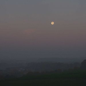 D7133k.jpg