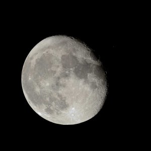 D713452.jpg