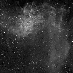 Testaufnahme von IC405