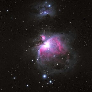 Einzelbild M42