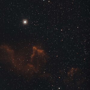 IC63 bicolor
