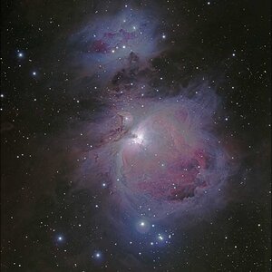 M42 Orion Nebel