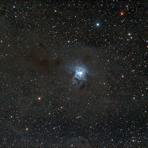 NGC7023 Irisnebel