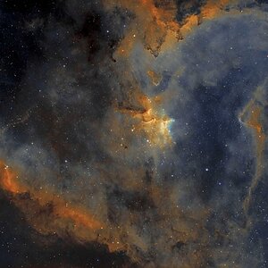 IC1805 bicolor