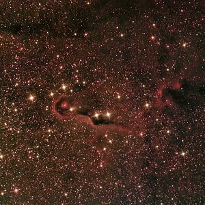 IC1396A - Elefantenrüsselnebel